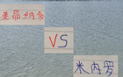 申花米內(nèi)羅VS海港萊昂納多，巴西外援誰(shuí)更出色？