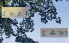 蔣內(nèi)傷，大連賽，馬艾誰得機(jī)？