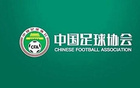 足協評議第13期：裁判錯漏判2例，南通支云無違規點球。