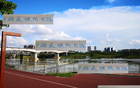 中超頭號難防前鋒，青島外援勝出，非海港萊納多，乃申花米內羅。