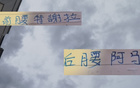 申花新組合，特謝拉+阿馬杜，下半程能否起飛？