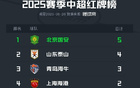 中超上半程紅牌：國安領跑，山東次之，海牛第三