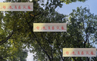 海港青春風(fēng)暴，李新翔領(lǐng)銜，大連賽進(jìn)球助攻亮眼！