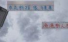 上海雙雄懷舊情，申花新援似馬萊萊，海港風格直白。