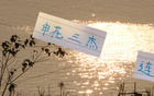 申花三杰連發，俄帥壓力倍增！