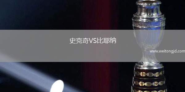 史克奇VS比耶納