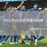 利比克VS圣彼得堡迪納摩