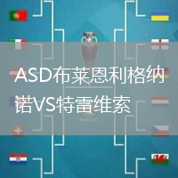 ASD布萊恩利格納諾VS特雷維索