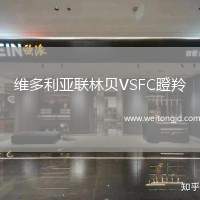 維多利亞聯林貝VSFC瞪羚