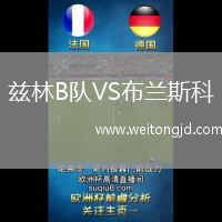 茲林B隊(duì)VS布蘭斯科