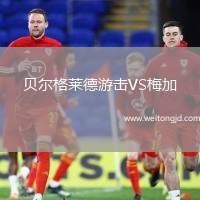 貝爾格萊德游擊VS梅加