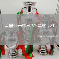 普里什蒂娜FCVS草蜢U21