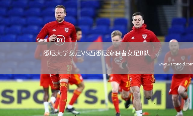 悉尼大學(xué)女足VS西悉尼流浪者女足B隊