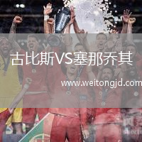 古比斯VS塞那喬其