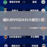 維米斯VS塔林利華戴亞B隊