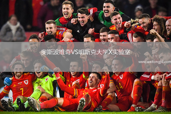 奧斯波維奇VS明斯克大學(xué)X實(shí)驗(yàn)室