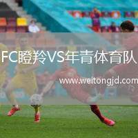 FC瞪羚VS年青體育隊(duì)