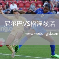 尼爾巴VS格涅茲諾