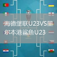 海德堡聯U23VS墨爾本港鯊魚U23