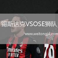 錫斯達克VSOSE獅隊