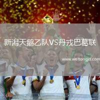 新潟天鵝乙隊VS丹戎巴葛聯