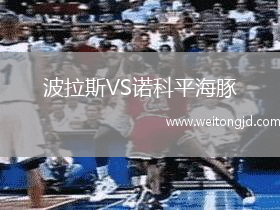 波拉斯VS諾科平海豚
