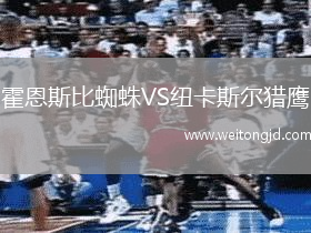 霍恩斯比蜘蛛VS紐卡斯爾獵鷹