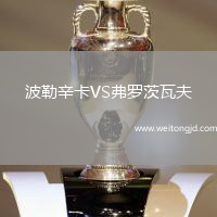 波勒辛卡VS弗羅茨瓦夫