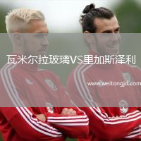 瓦米爾拉玻璃VS里加斯澤利