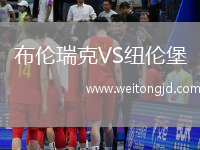 布倫瑞克VS紐倫堡