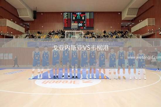 戈亞內(nèi)斯亞VS韋柳港
