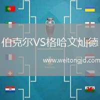 伯克爾VS格哈文燦德