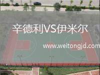 辛德利VS伊米爾