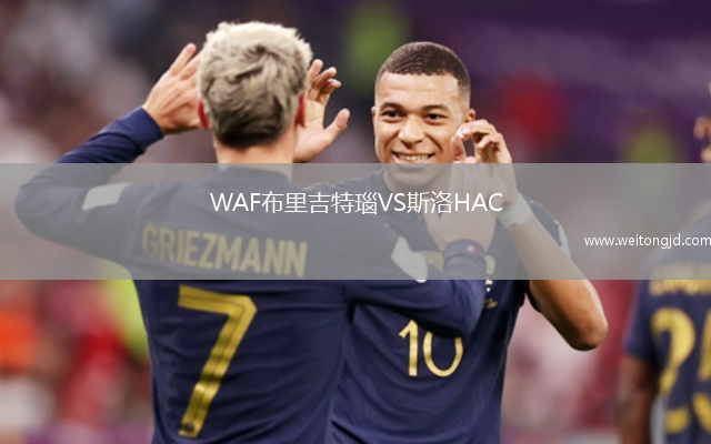 WAF布里吉特瑙VS斯洛HAC
