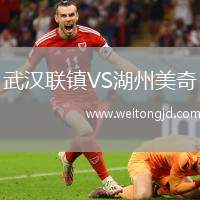 武漢聯(lián)鎮(zhèn)VS湖州美奇