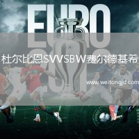 杜爾比恩SVVSBW費爾德基希
