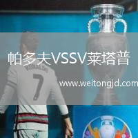 帕多夫VSSV萊塔普
