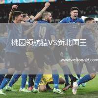 桃園領航猿VS新北國王