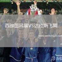 西雅圖風暴VS達拉斯飛翼