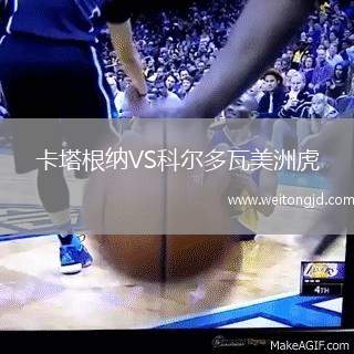 卡塔根納VS科爾多瓦美洲虎