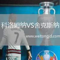 科洛姆納VS舍克斯納