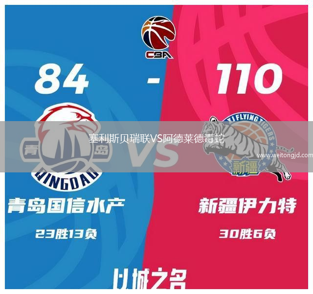 塞利斯貝瑞聯VS阿德萊德毒蛇