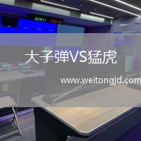大子彈VS猛虎