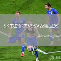 SK韋恩多夫VSSV安德里茨