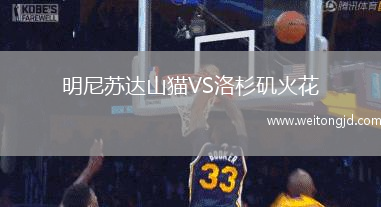 明尼蘇達山貓VS洛杉磯火花