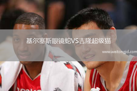 基爾塞斯眼鏡蛇VS吉隆超級貓