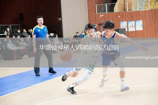 華盛頓神秘人VS明尼蘇達(dá)山貓