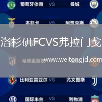 洛杉磯FCVS弗拉門戈