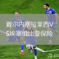 夏爾內(nèi)塞拉萊西VS埃塞俄比亞保險(xiǎn)