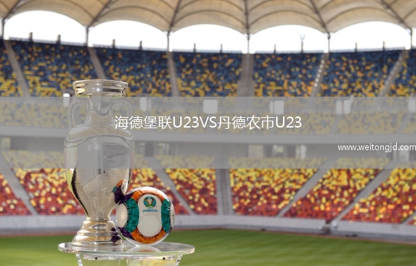 海德堡聯U23VS丹德農市U23